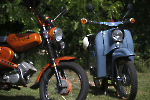 Mofa_Roller_ 2025__19