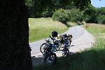 Mofa_Roller_ 2025__83