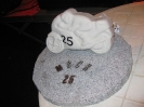 Treffen2011_2