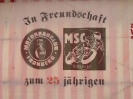 Treffen2013_39