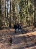 winterwanderung2019__3